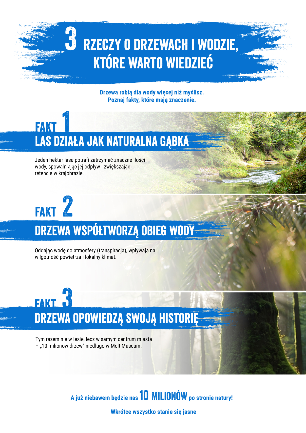 Żywiec Zdrój - 3 rzeczy o drzewach i wodzie, które warto wiedzieć